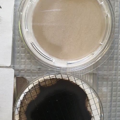 Constantly rising maintenance costs? Maybe the problem of varnish in the oil system?